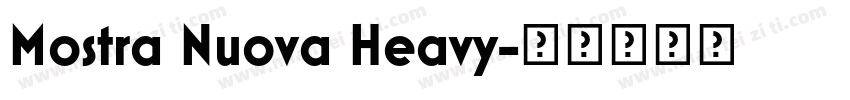Mostra Nuova Heavy字体转换
